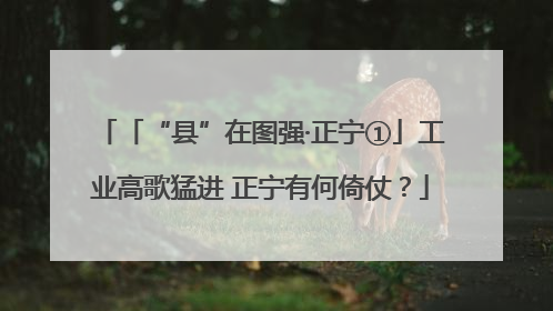 「“县”在图强·正宁①」工业高歌猛进 正宁有何倚仗？