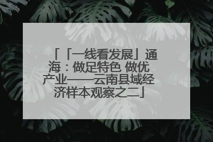 「一线看发展」通海：做足特色 做优产业——云南县域经济样本观察之二