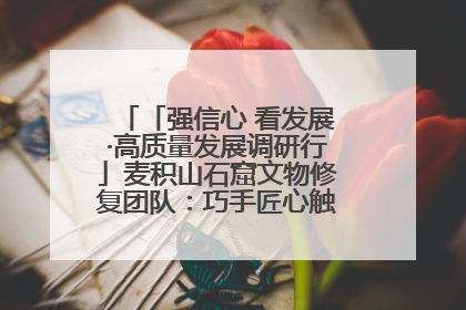「强信心 看发展·高质量发展调研行」麦积山石窟文物修复团队：巧手匠心触摸“光阴的故事”