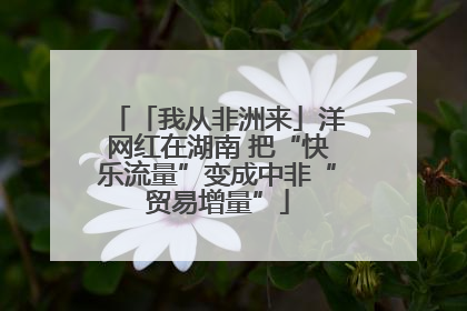 「我从非洲来」洋网红在湖南 把“快乐流量”变成中非“贸易增量”