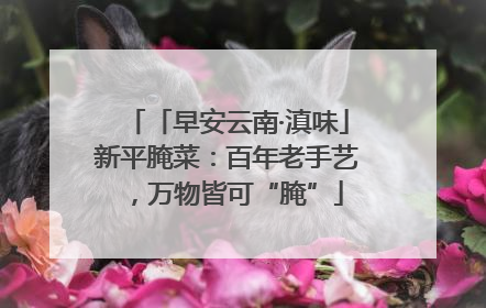 「早安云南·滇味」新平腌菜：百年老手艺，万物皆可“腌”