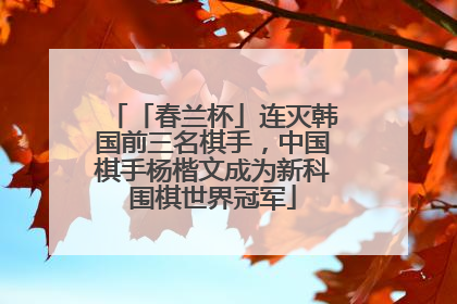 「春兰杯」连灭韩国前三名棋手，中国棋手杨楷文成为新科围棋世界冠军