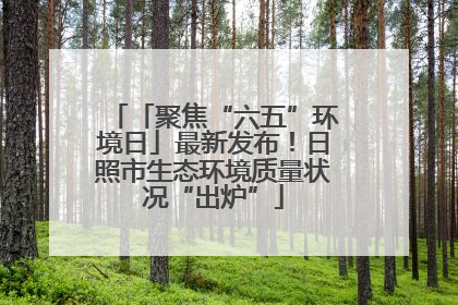 「聚焦“六五”环境日」最新发布！日照市生态环境质量状况“出炉”