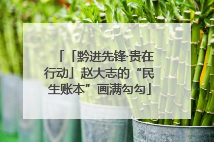 「黔进先锋·贵在行动」赵大志的“民生账本”画满勾勾