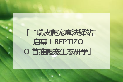 “瑞皮爬宠魔法驿站” 启幕！REPTIZOO 首推爬宠生态研学