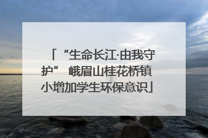 “生命长江·由我守护” 峨眉山桂花桥镇小增加学生环保意识
