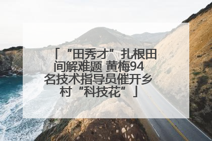 “田秀才”扎根田间解难题 黄梅94名技术指导员催开乡村“科技花”