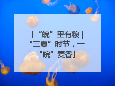 “皖”里有粮｜“三夏”时节，一“皖”麦香