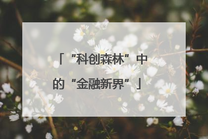 “科创森林”中的“金融新界”