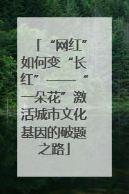 “网红”如何变“长红”——“一朵花”激活城市文化基因的破题之路