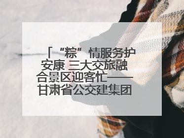 “粽”情服务护安康 三大交旅融合景区迎客忙——甘肃省公交建集团全力做好端午假期景区运营工作