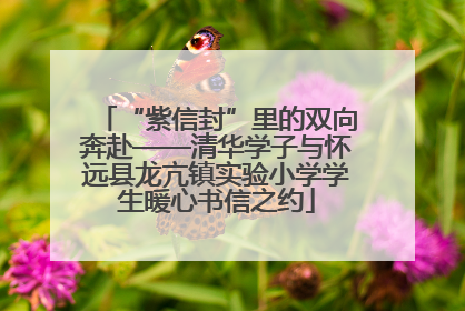 “紫信封”里的双向奔赴——清华学子与怀远县龙亢镇实验小学学生暖心书信之约