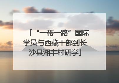 “一带一路”国际学员与西藏干部到长沙县湘丰村研学