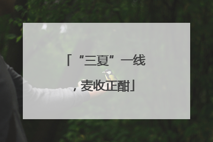 “三夏”一线，麦收正酣