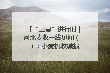 “三夏”进行时｜河北麦收一线见闻（一）：小麦机收减损“竞技” 农机高手麦田“过招”