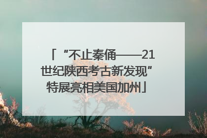 “不止秦俑——21世纪陕西考古新发现”特展亮相美国加州