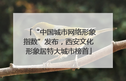 “中国城市网络形象指数”发布，西安文化形象居特大城市榜首