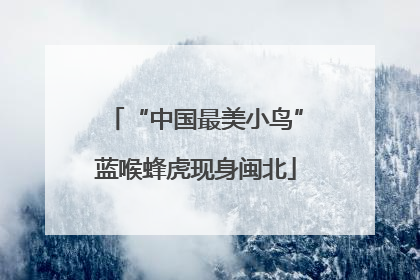“中国最美小鸟”蓝喉蜂虎现身闽北