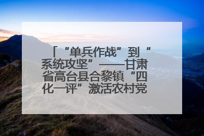 “单兵作战”到“系统攻坚”——甘肃省高台县合黎镇“四化一评”激活农村党员管理新引擎