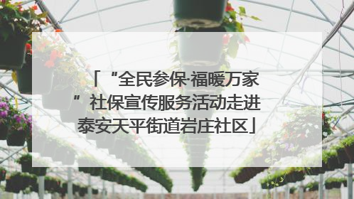 “全民参保·福暖万家”社保宣传服务活动走进泰安天平街道岩庄社区