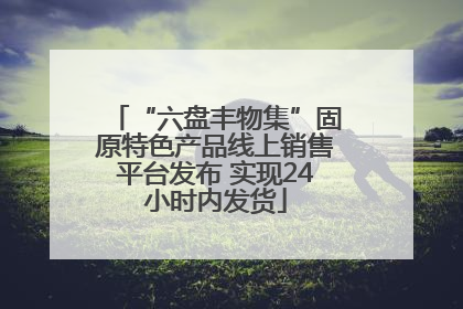 “六盘丰物集”固原特色产品线上销售平台发布 实现24小时内发货