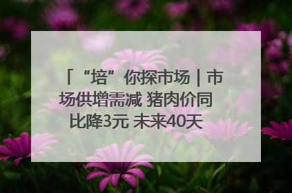 “培”你探市场｜市场供增需减 猪肉价同比降3元 未来40天便宜猪肉敞开吃