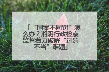 “同案不同罚”怎么办？湘阴行政检察监督着力破解“过罚不当”难题