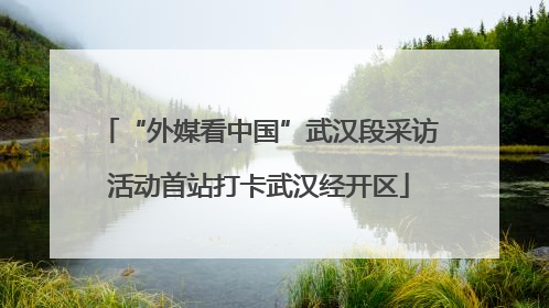 “外媒看中国”武汉段采访活动首站打卡武汉经开区