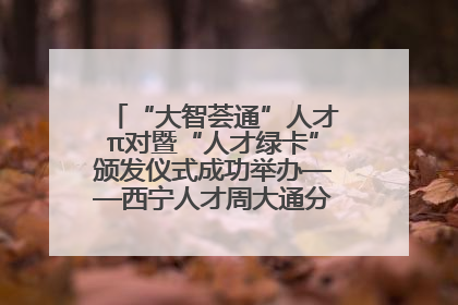 “大智荟通”人才π对暨“人才绿卡”颁发仪式成功举办——西宁人才周大通分会场亮点纷呈