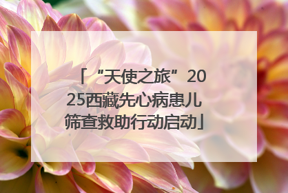“天使之旅”2025西藏先心病患儿筛查救助行动启动