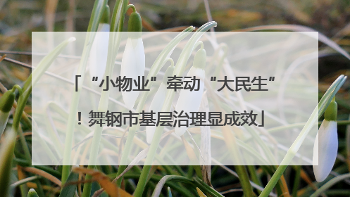 “小物业”牵动“大民生”！舞钢市基层治理显成效
