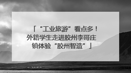 “工业旅游”看点多！外籍学生走进胶州李哥庄镇体验“胶州智造”