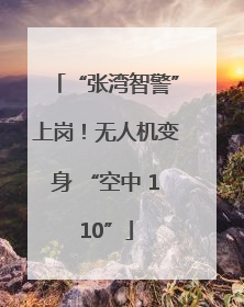 “张湾智警”上岗！无人机变身 “空中 110”