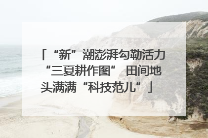 “新”潮澎湃勾勒活力“三夏耕作图” 田间地头满满“科技范儿”