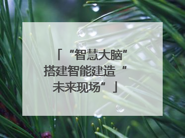 “智慧大脑”搭建智能建造“未来现场”