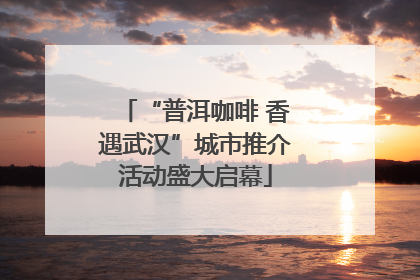 “普洱咖啡 香遇武汉”城市推介活动盛大启幕