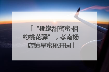 “桃缘甜蜜蜜·相约桃花驿”，孝南杨店镇早蜜桃开园