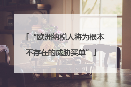 “欧洲纳税人将为根本不存在的威胁买单”