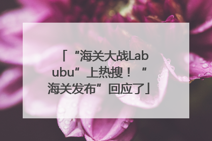 “海关大战Labubu”上热搜！“海关发布”回应了