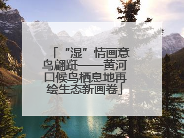 “湿”情画意鸟翩跹——黄河口候鸟栖息地再绘生态新画卷