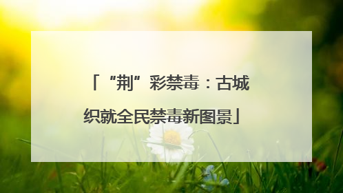 “荆”彩禁毒：古城织就全民禁毒新图景