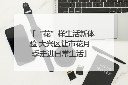 “花”样生活新体验 大兴区让市花月季走进日常生活