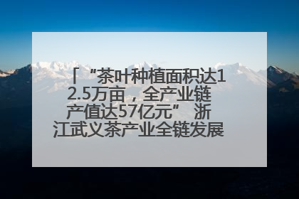“茶叶种植面积达12.5万亩，全产业链产值达57亿元” 浙江武义茶产业全链发展“加速度”