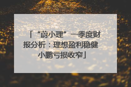 “蔚小理”一季度财报分析：理想盈利稳健 小鹏亏损收窄