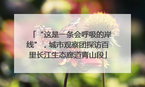 “这是一条会呼吸的岸线”，城市观察团探访百里长江生态廊道青山段
