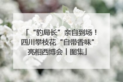 “豹局长”亲自到场！四川攀枝花“自带香味”亮相西博会丨图集