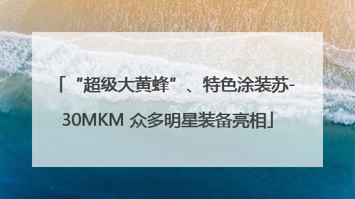 “超级大黄蜂”、特色涂装苏-30MKM 众多明星装备亮相