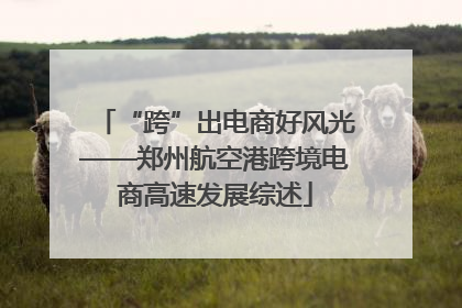 “跨”出电商好风光——郑州航空港跨境电商高速发展综述
