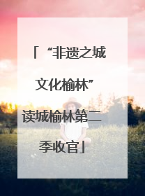 “非遗之城 文化榆林”读城榆林第二季收官