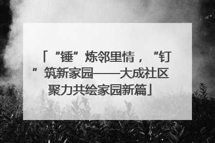 “锤”炼邻里情，“钉”筑新家园——大成社区聚力共绘家园新篇